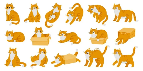 Dibujos Animados Gatito Gatos Lindo Personajes Gatos Rojos Diferentes Poses — Vector de stock