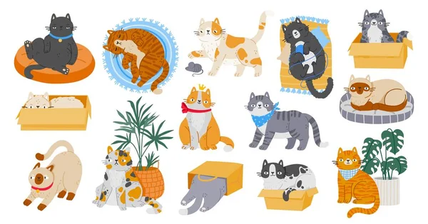 Personaje Lindo Gato Mascota Dibujos Animados Diferentes Actividades Gatitos Jugando — Archivo Imágenes Vectoriales