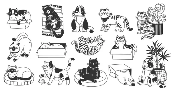 Симпатичные Кошачьи Рисунки Смешные Ручные Рисунки Домашних Животных Коробках Корзинах — стоковый вектор