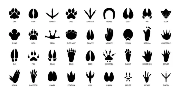 Animals Footprints Prints Animal Bird Paw Wildlife Foot Icon Domestic — Stock Vector