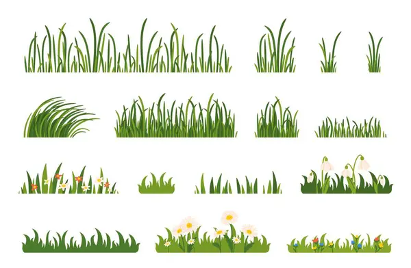 Grünes Gras Cartoon Feld Rasen Wiesenpflanzen Kräuter Und Blumen Frische — Stockvektor