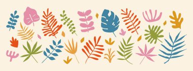 Soyut tropik yapraklar. Egzotik bitkiler ve palmiye yaprağı. Farklı modern organik doğa çiçek şekilleri. Yaz botanik siluetleri. Kolaj muzu, canavar. Vektör seti