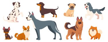 Çizgi film köpekleri. Şirin küçük yavrular, farklı cins ve boyutlarda sevimli köpekler. Mutlu ağızlık takan komik hayvan karakterleri. Dachshund, çoban, Jack Russell. Vektör seti.