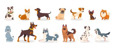 Şirin köpek yavruları. Çizgi film köpekleri ve evcil köpekleri. Komik, dost canlısı hayvanlar. Mutlu Corgi, doberman, dalmaçyalı, pug, dachshund. Düz köpek vektörü kümesi.