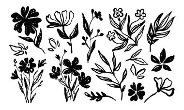 Mürekkep fırçası çiçeği. Yaprakları, çiçekleri, çiçekleri, davetiye kartları için dalları, afişleri olan çiçek kompozisyonu. Tek renkli botanik vektör elementleri.