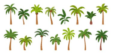 Palmiye ağacı. Tropik ağaçlar. Egzotik yaprakları, hindistan cevizi, muz, gövdesi ve meyveleri olan Hawaii tatil köyü ağacı. Cennette, adada, tatil köyünde orman bitkileri. Vektör seti.