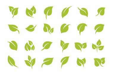 Yeşil yaprak simgesi. Eko semboller bırakır. Vejetaryen, doğal, sağlıklı üretim, çevre dostu markalar için doğal organik yaprak etiketi. Düz bitki elementleri. Botanik tasarımları. Vektör seti.