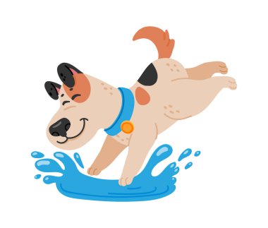 Mutlu çizgi film köpekleri su sıçratarak su sıçratıyor, yazın tadını çıkarıyor, komik köpek yavrusu suyla oynuyor, çocuk kitapları çizimleri, evcil hayvan dükkanları ya da veteriner klinikleri için ideal.