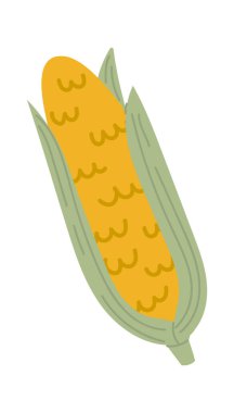 Olgun mısır tanecikleri hala kısmen yeşil yapraklarla kaplı, bu popüler sebzenin basit ama canlı bir tasvirini sunuyor.