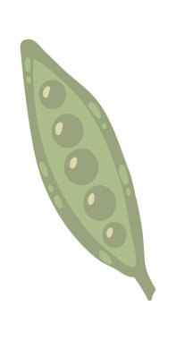 İçinde canlı bezelyeler barındıran yeşil bezelye kabuğu basit ve eğlenceli bir şekilde resmedilmiş. Temiz beyaz bir arka planda izole edilmiş taze ve sağlıklı sebzelerin özünü yakalıyor.