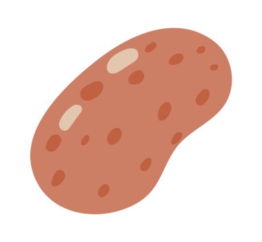 Çiğ patates, kabuklu ve filizli, nişastalı bir sebze, yaygın olarak tüketilen ve çeşitli mutfaklarda kullanılan, beyaz arka planda izole edilmiş.