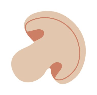 Dilimlenmiş mantar içeren minimalist vektör illüstrasyonu, görünür solungaçlarla gövdeyi ve kapağı vurguluyor, hepsi yeni ve modern bir görünüm için temiz beyaz bir arkaplana karşı kurulmuş.