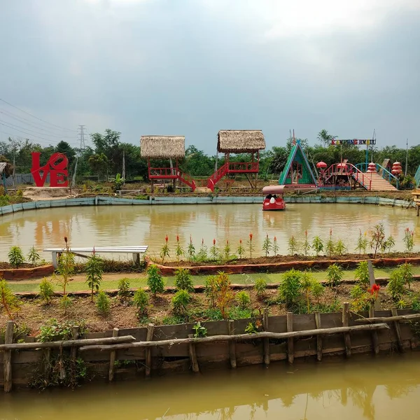 Widok Ogród Kwiatowy Celosia Kenten Palembang Indonezja — Zdjęcie stockowe