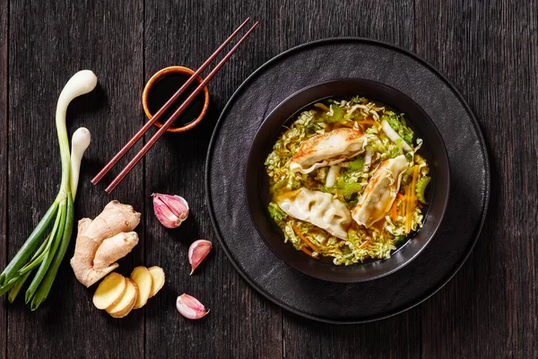 Asian Potsticker Gyoza Soup Dumpling Ground Chicken Napa Cabbage Scallions — Stock Photo, Image