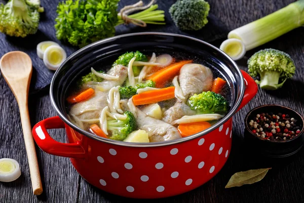 Chicken Spring Soup Broccoli Carrots Parsnip Leek Pasta Red Pot — Stock Photo, Image