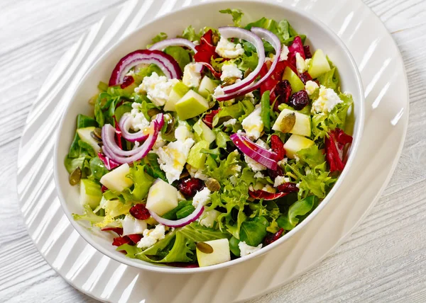 Green Salad Apples Goat Cheese Cranberries Red Onion Pepitas White — Stock Photo, Image