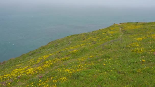 Video Sea Background Viewed Mountain Point Reyes — Stock Video