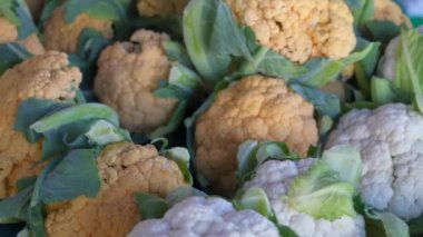 Canlı, Organik ve Sağlıklı Karnabaharlar