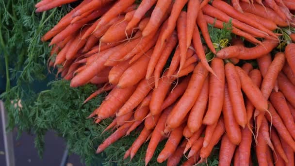 Zanahorias Frescas Orgánicas Saludables — Vídeo de stock