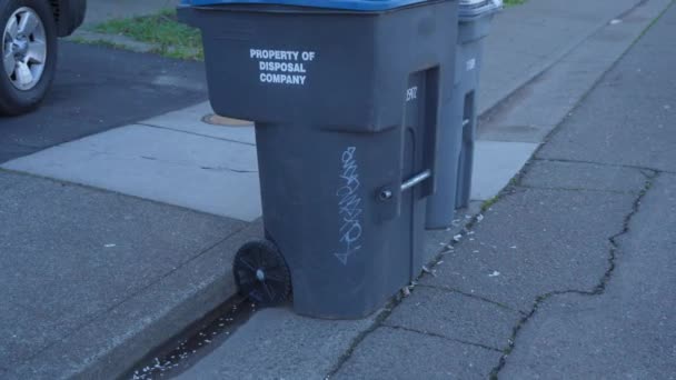 加利福尼亚灰蒙蒙的日子里 街上的垃圾筒成了垃圾 — 图库视频影像