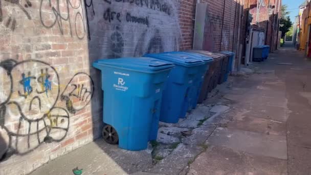 Alley Trash Cans Different Colors — Stock Video
