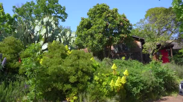 Hermosa Casa Madera Detrás Hermoso Jardín Verde — Vídeo de stock