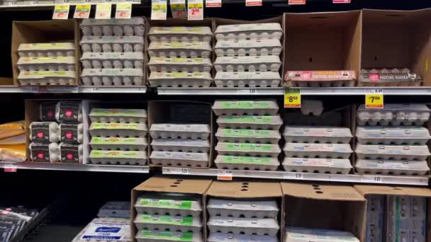 卵のカートンの広い品揃えを示すスーパーマーケットできちんと配置されたラック — ストック動画