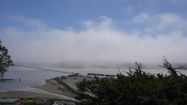 Nebbia Che Passa Sopra Lago Durante Giorno — Video Stock