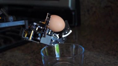 Robot el cam bir kasenin üzerinde yumurta tutuyor.