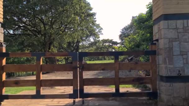 Lovely Gate Standing Amidst Forest Scenery — Stock Video