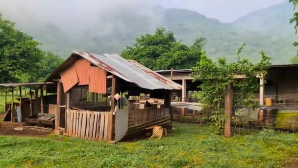 Casa Casi Destruida Abandonada Rodeada Montañas Cubiertas Niebla — Vídeo de stock