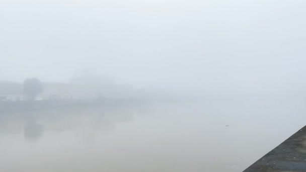 Флоренция Тоскана Италия 2023 Густой Туман Преобладает Над Озером — стоковое видео