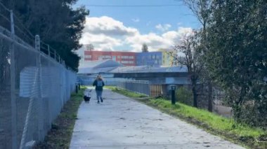 Bir insan, renkli kentsel binaların arka planında köpeğiyle kanalın kenarında dolaşmaktan keyif alır..