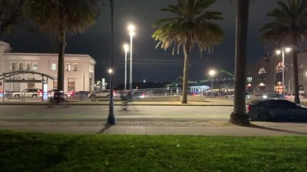 Lâmpadas Rua Iluminam Uma Paisagem Urbana Noite Com Palmeiras Carros — Vídeo de Stock