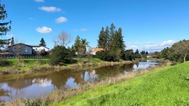 Sentier Pédestre Serein Longe Rivière Petaluma Bordée Verdure Luxuriante Charmantes — Video
