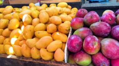 Canlı mango ve patates gösterisi, zengin renkler ve yerel bir pazarda mevsimlik üretimin doğal cazibesini gözler önüne seriyor..
