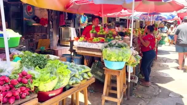 Bustling Outdoor Market Scene Vendors Selling Variety Fresh Vegetables Fruits — Vídeos de Stock