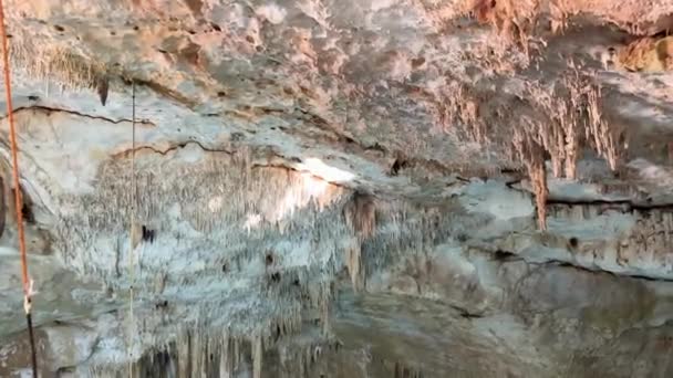 Komplizierte Tropfsteinformationen Schmücken Die Decke Eines Höhlenartigen Cenoten Und Zeigen — Stockvideo