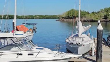 San Blas, Nayarit 'te bir yat limanında tekneler yanaştı. Arka planda sakin bir su ve yeşillik vardı. Sahne sakin atmosferi ve kayıkçı topluluğu vurguluyor..