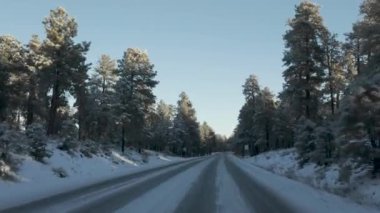 Karlı bir karayolu olan AZ-89A, karla kaplı ağaçların arasından esiyor. Sakin kış manzarası, kış boyunca Arizona yollarının sessiz güzelliğini yansıtır..