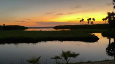 Altın bir günbatımı, gökyüzünün ve manzaranın yumuşak yansımalarıyla kıyı gölünün sakin sularını aydınlatır. Huzurlu sahne siluetli palmiye ağaçları ve otlar tarafından çerçevelenir. Mükemmel bir sükunet anı sunar..