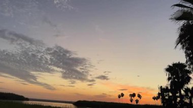 Siluetli palmiye ağaçları gün batımında yumuşak bir gökyüzüne karşı duruyor. Huzurlu, tropikal manzara, sakin bir günün sonunu yakalar..