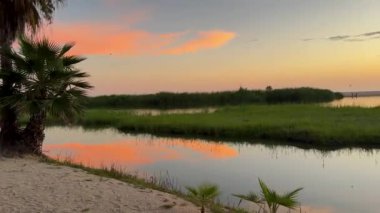 Yumuşak pembe bulutlar, alacakaranlıkta sakin bir kıyı gölünün sularını yansıtarak güzel ve sakin bir manzara yaratır. Yansıma, bereketli çimenler ve kumlu kıyılar tarafından çerçevelenen huzur ortamına derinlik katıyor..
