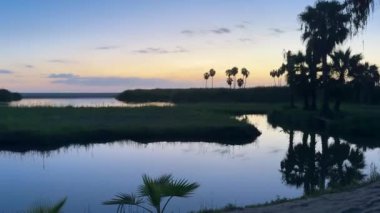 Alacakaranlık, gökyüzünü mavi ve mor yumuşak renklerle dolduran bir kıyı gölünün üzerine iniyor. Sakin sular, sakin manzarayı yansıtıyor ve ufukta siluet olan palmiyeler var..
