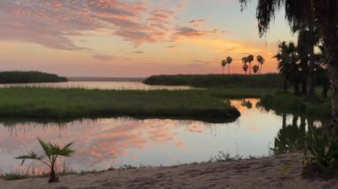 Gün batımının canlı renkleri kıyı gölünün sakin sularını yansıtır ve birkaç palmiye ağacının silueti uzaktadır. Huzurlu bir manzara huzurlu bir güne mükemmel bir son verir..