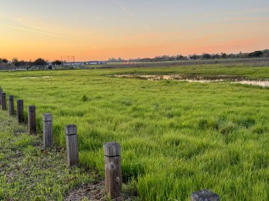 A close-up view of a lush green field as the sun sets, casting warm colors over the sky. The reflective water in the distance enhances the peaceful mood. clipart