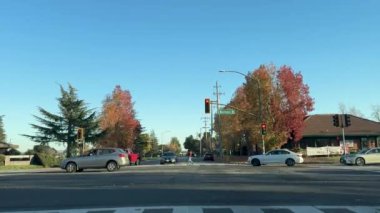 Parlak sarı ve kırmızı yapraklar sergileyen araçlar ve sonbahar ağaçlarıyla dolu canlı bir şehir kavşağı. Doğanın ve şehir hayatının birleşimini yakalar..