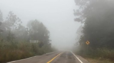 Dikkatli işaretleri ve yoğun ağaç örtüsü olan sisli bir yol, atmosferik, sakin bir seyahat görüntüsü oluşturmak için hava ve doğa elementlerini harmanlıyor..