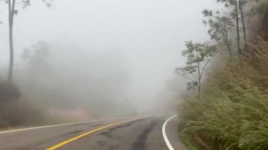 Uzun çam ağaçları ve otlarla çevrili yoğun siste kaybolan dolambaçlı bir yol ruhani ve gizemli bir atmosfer yaratıyor..