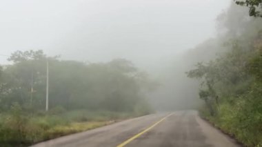 Yoğun sisle kaplı sakin bir kırsal yol, yemyeşil bitki örtüsüyle çevrili, atmosferik ve gizemli bir sürüş sahnesi yaratıyor..